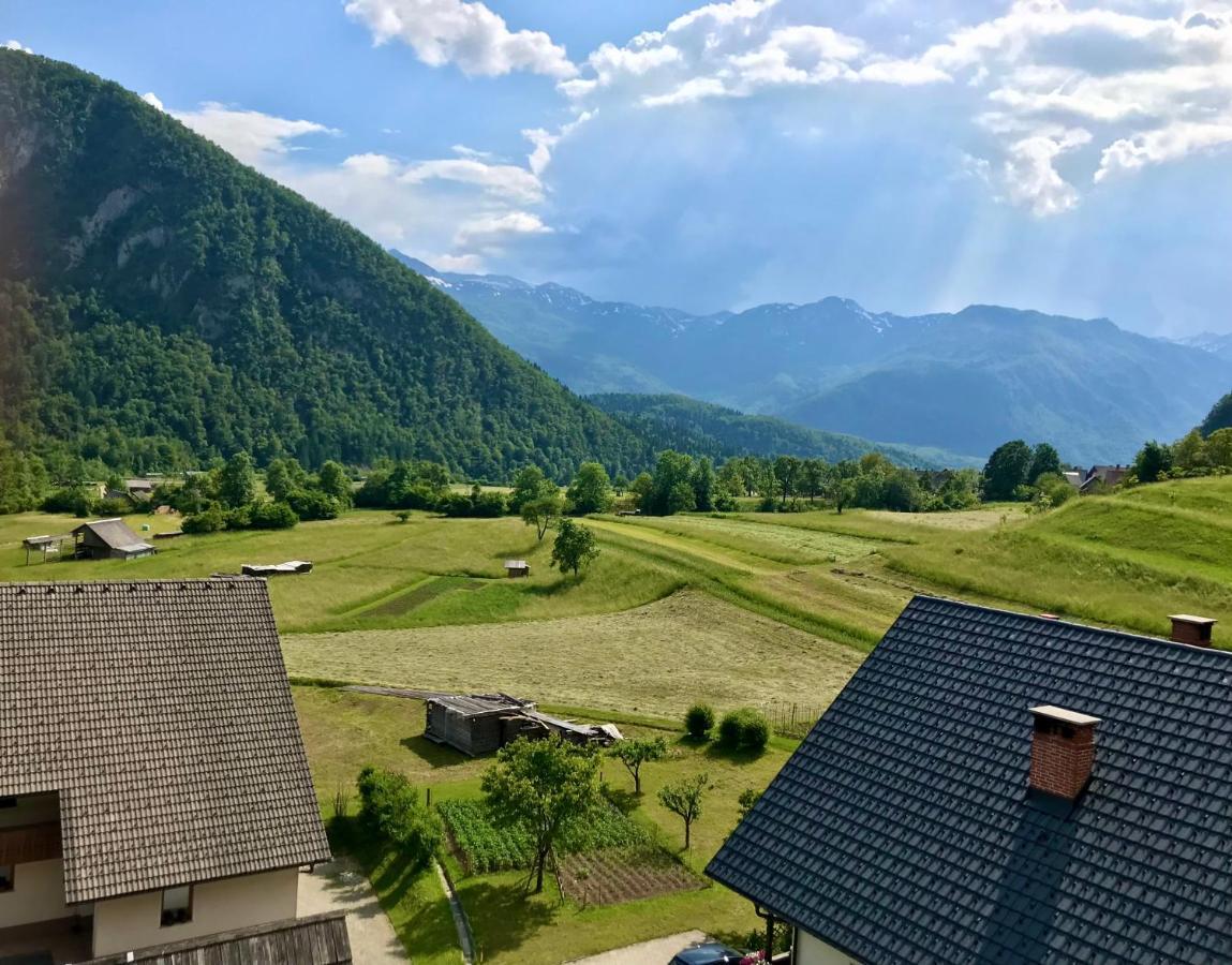 Apartmaji Mojca 博希尼 外观 照片