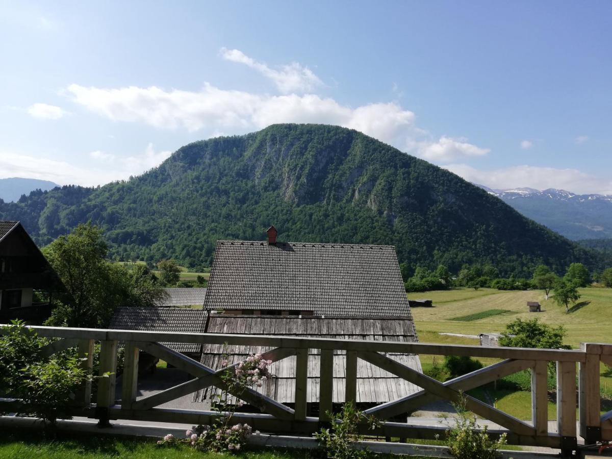 Apartmaji Mojca 博希尼 外观 照片