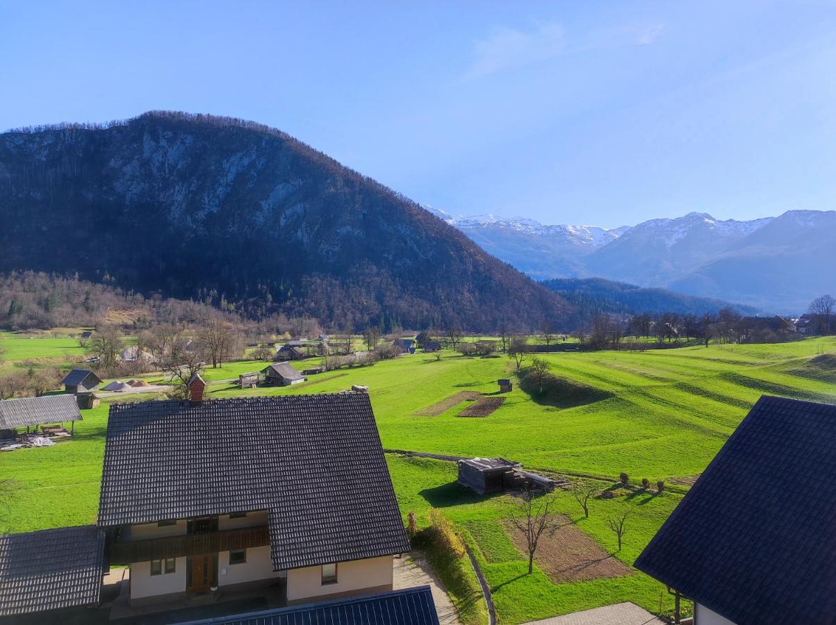 Apartmaji Mojca 博希尼 外观 照片