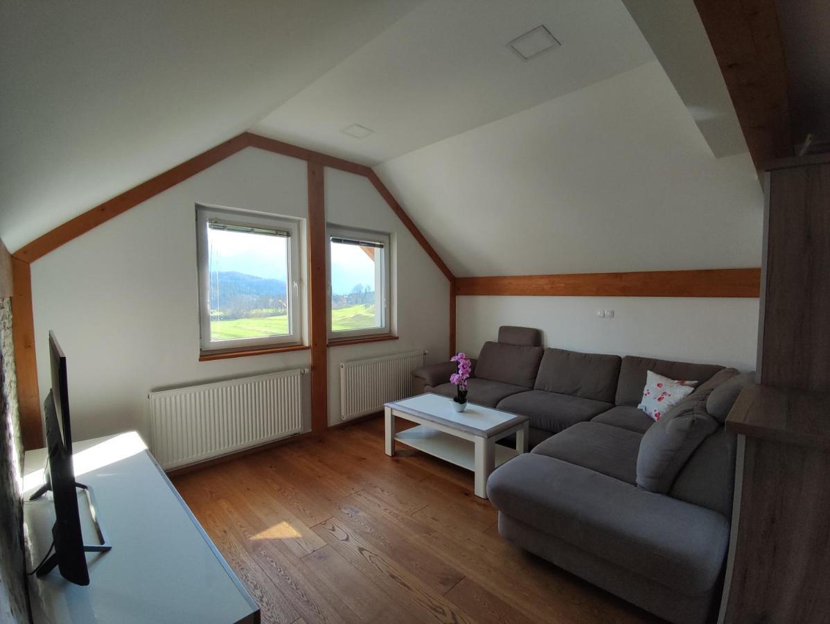Apartmaji Mojca 博希尼 外观 照片