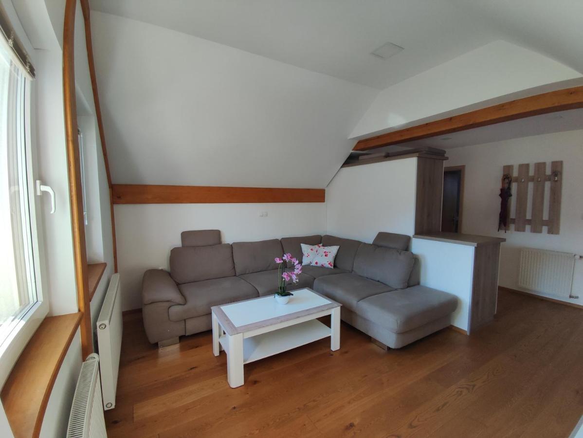 Apartmaji Mojca 博希尼 外观 照片