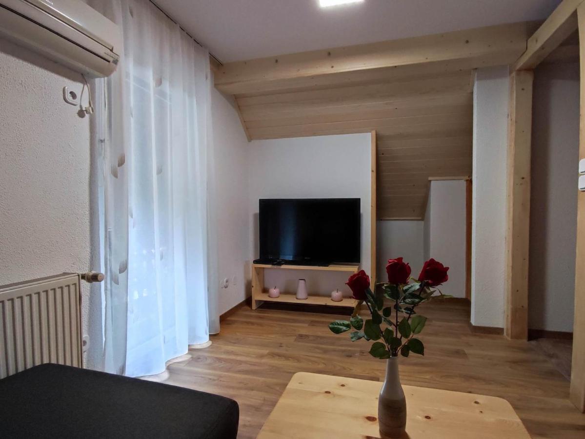 Apartmaji Mojca 博希尼 外观 照片