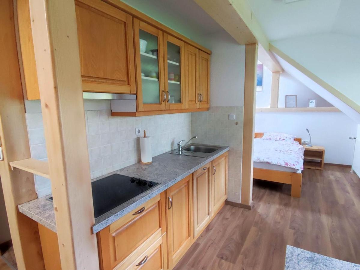 Apartmaji Mojca 博希尼 外观 照片