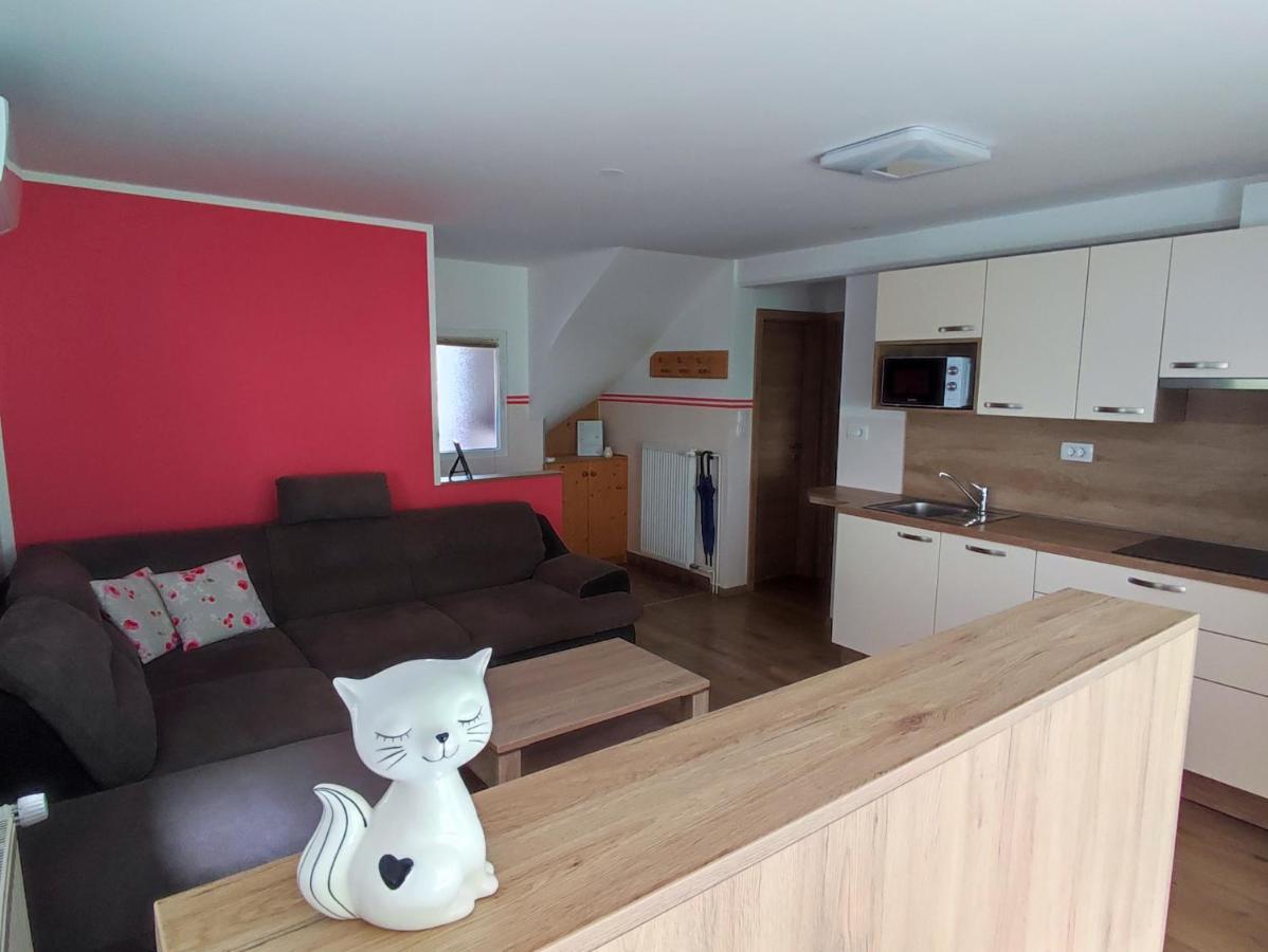 Apartmaji Mojca 博希尼 外观 照片