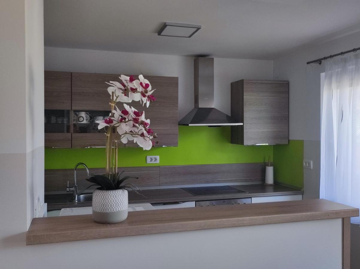 Apartmaji Mojca 博希尼 外观 照片