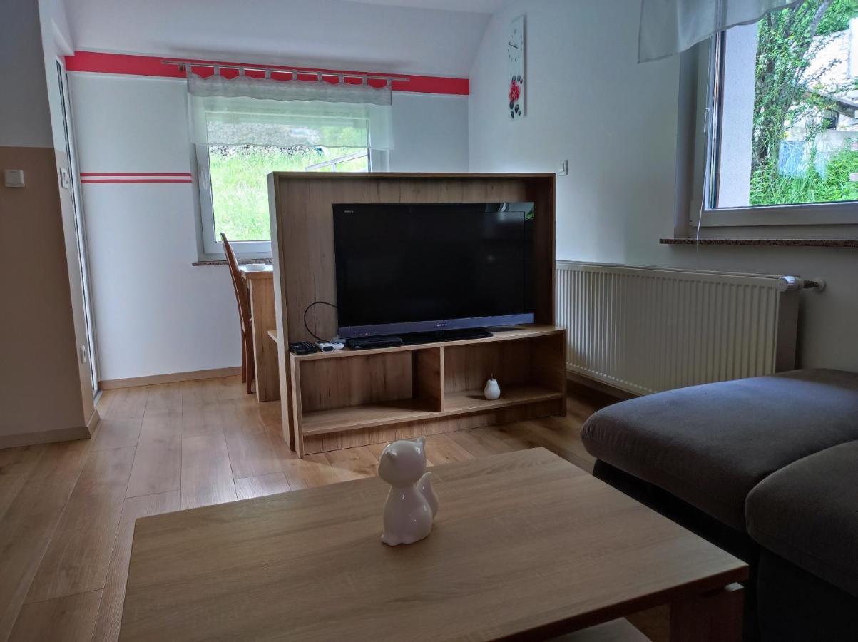 Apartmaji Mojca 博希尼 外观 照片