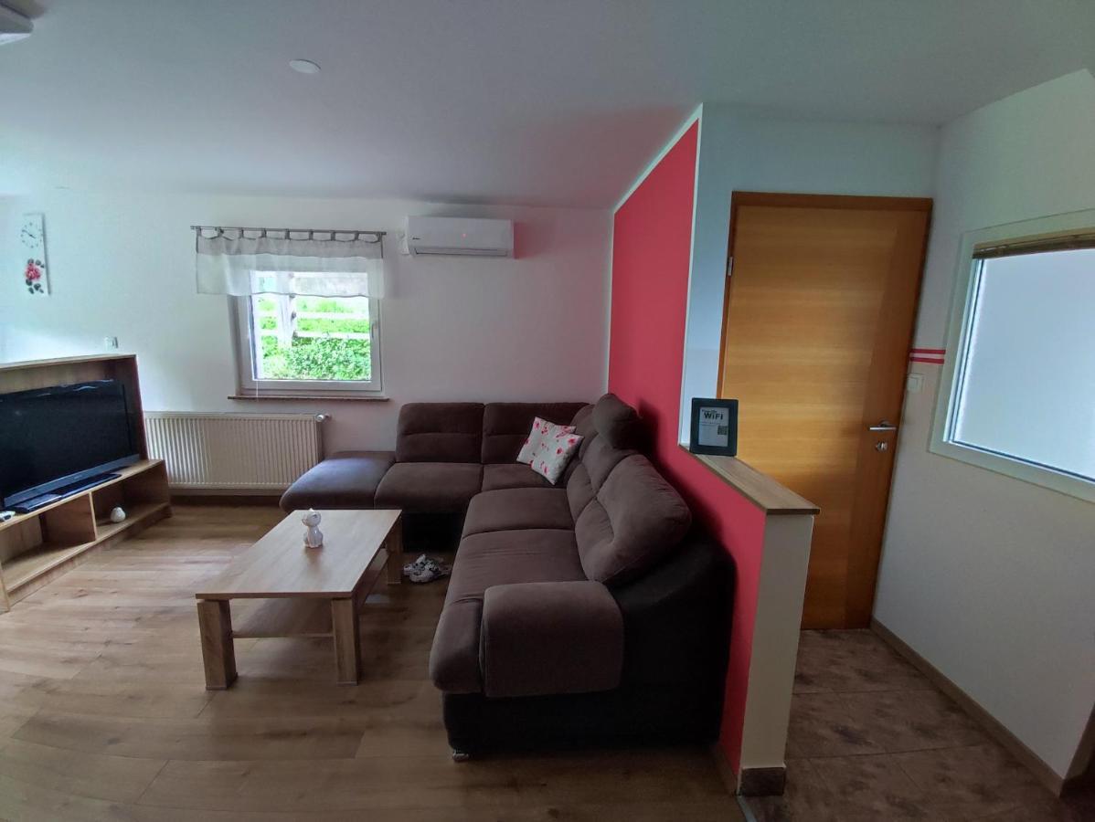 Apartmaji Mojca 博希尼 外观 照片