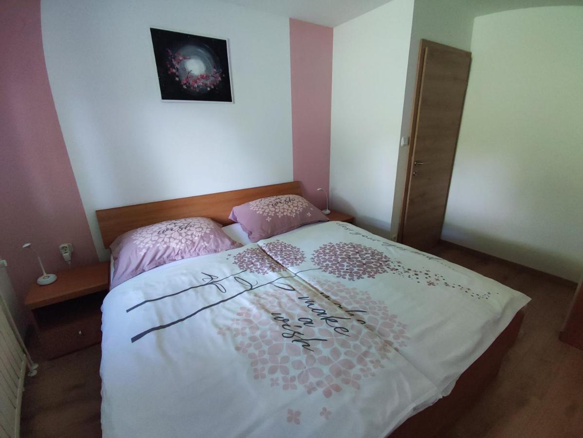 Apartmaji Mojca 博希尼 外观 照片