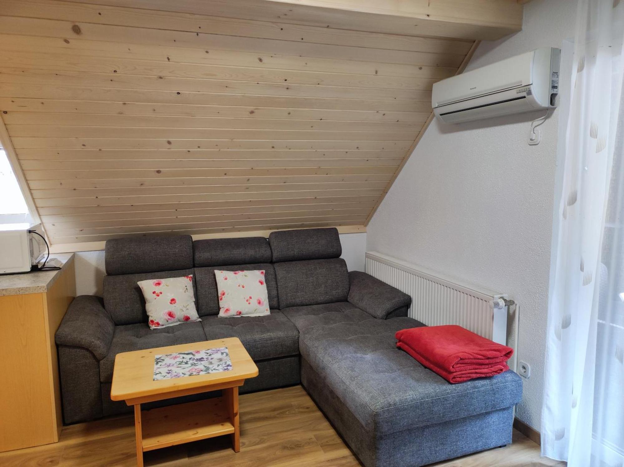Apartmaji Mojca 博希尼 外观 照片