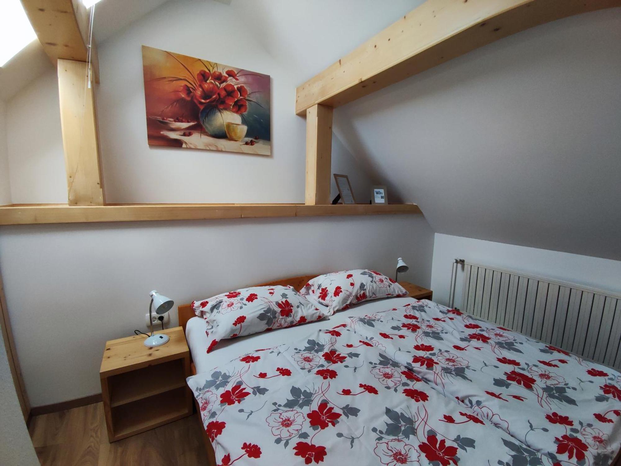 Apartmaji Mojca 博希尼 客房 照片