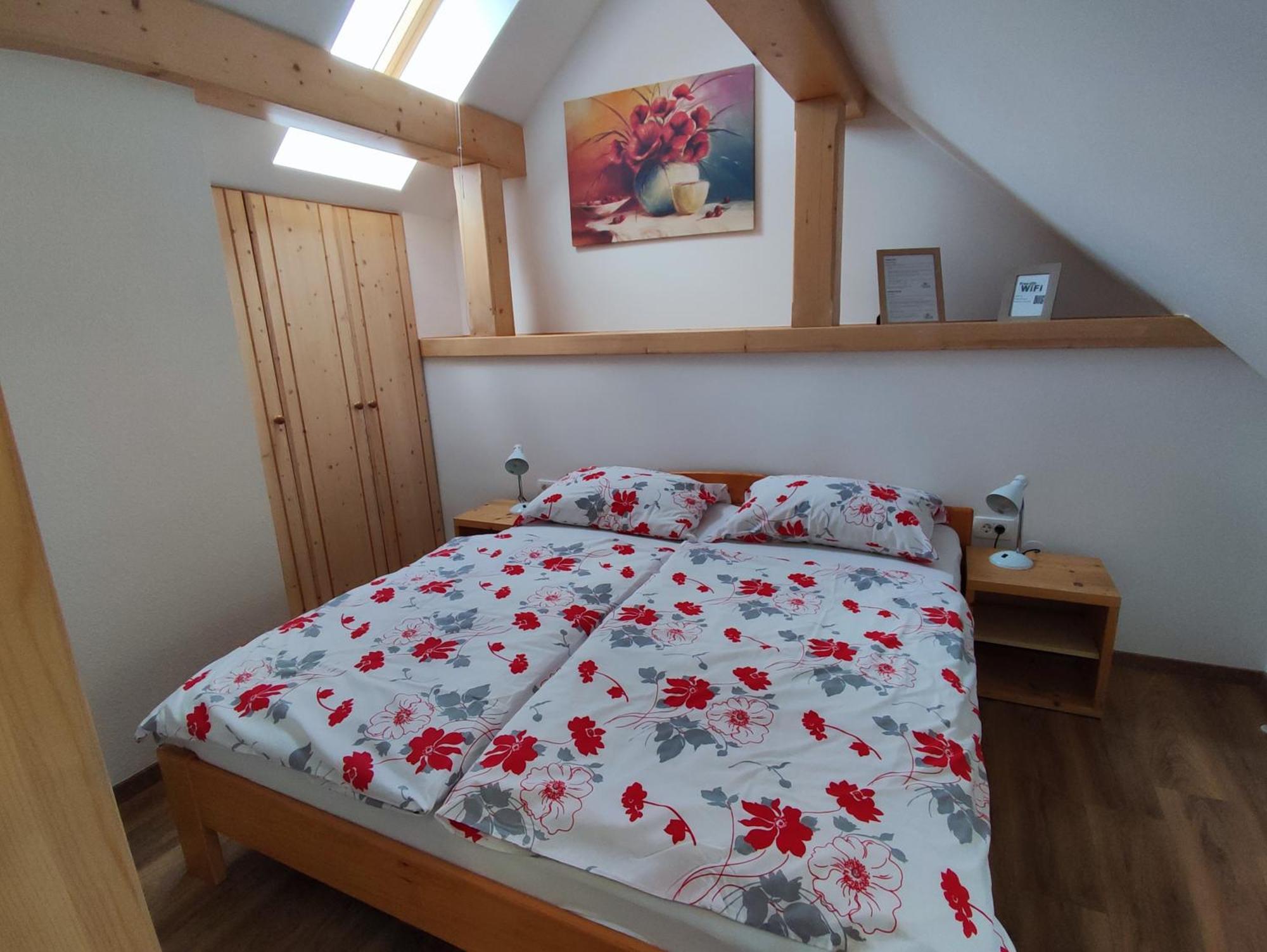 Apartmaji Mojca 博希尼 外观 照片